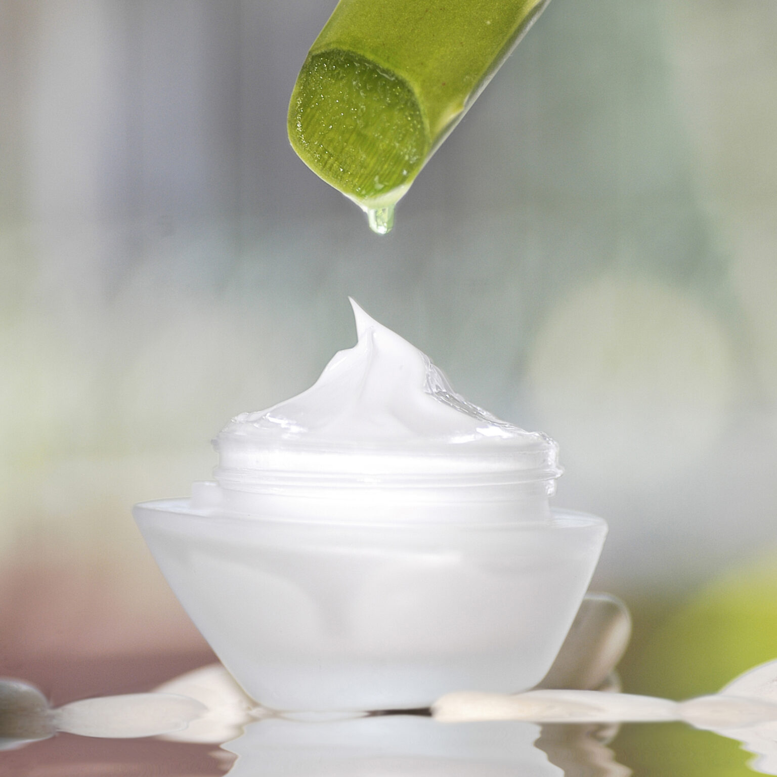 DIY Aloe Vera Moisturizer! barnhouseblue