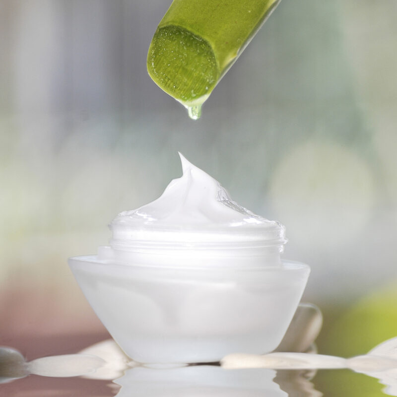 DIY Aloe Vera Moisturizer! barnhouseblue